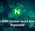 NGINX Instance Manager